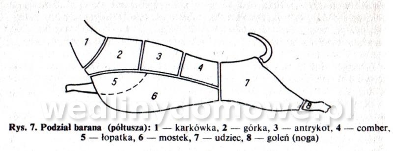 post-39694-0-09308300-1453742484_thumb.jpg