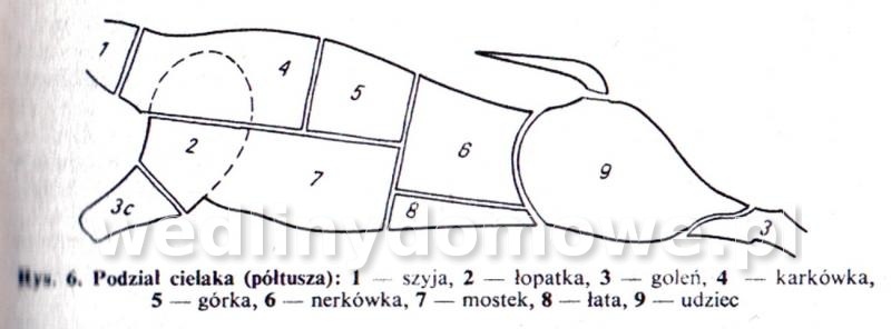 post-39694-0-54710800-1453661415_thumb.jpg