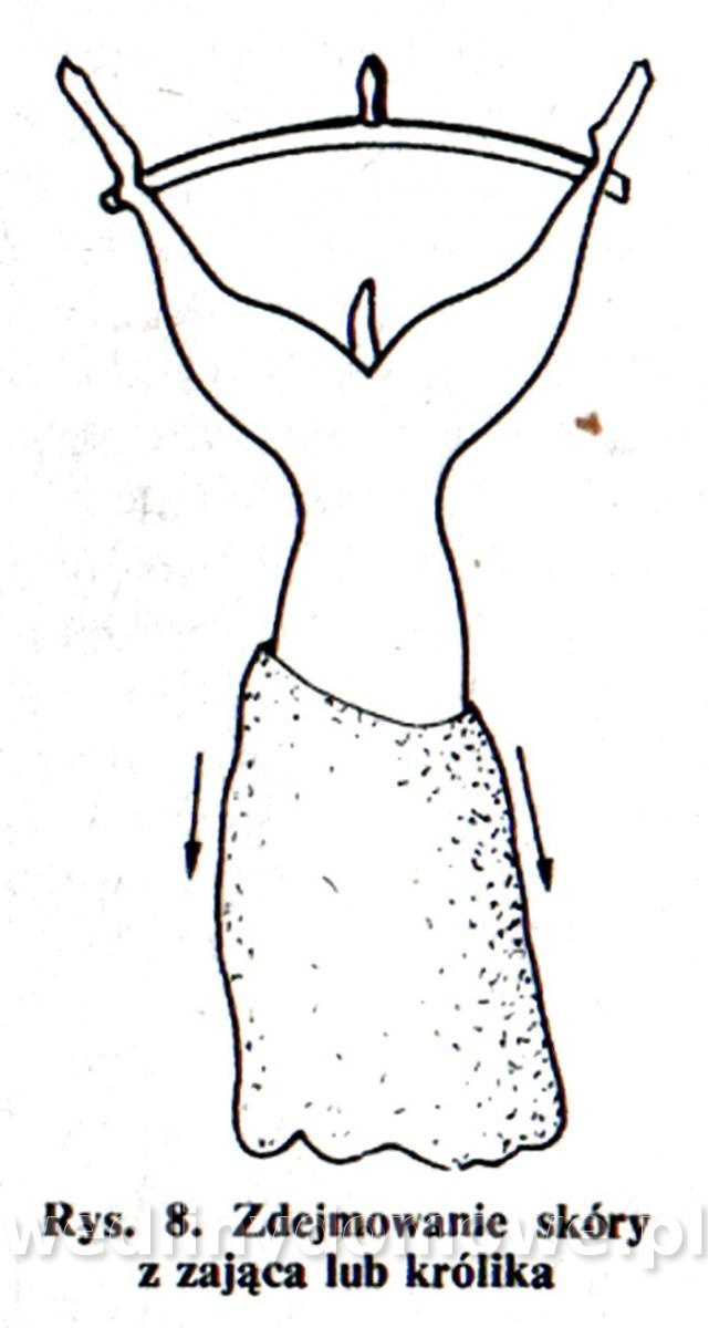 post-39694-0-55943200-1453742490_thumb.jpg
