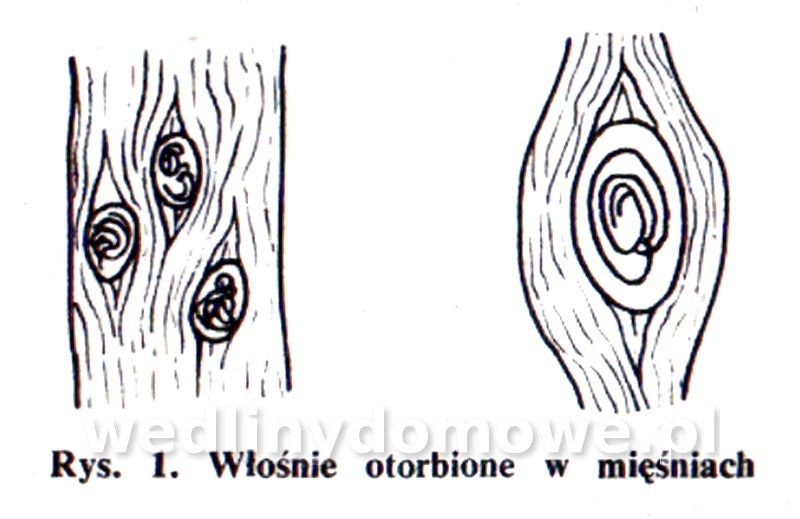 post-39694-0-92850800-1453661297_thumb.jpg