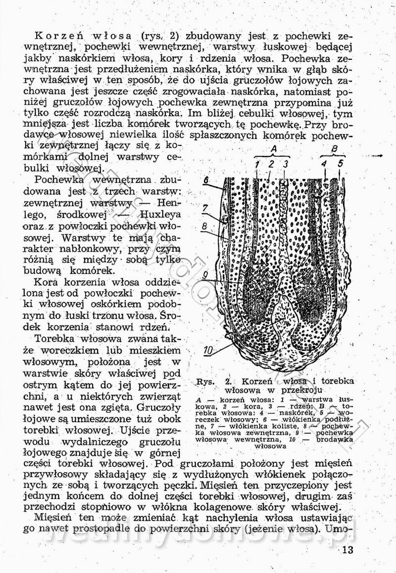 post-39694-0-15013700-1548504580_thumb.jpg