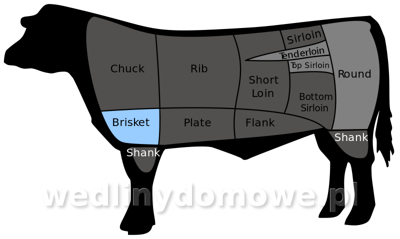 post-44979-0-39621100-1547759840_thumb.png