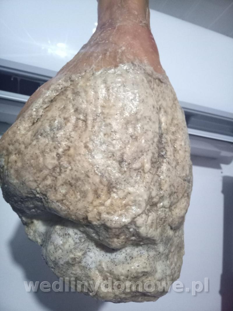 post-82235-0-23343600-1641194516_thumb.jpeg