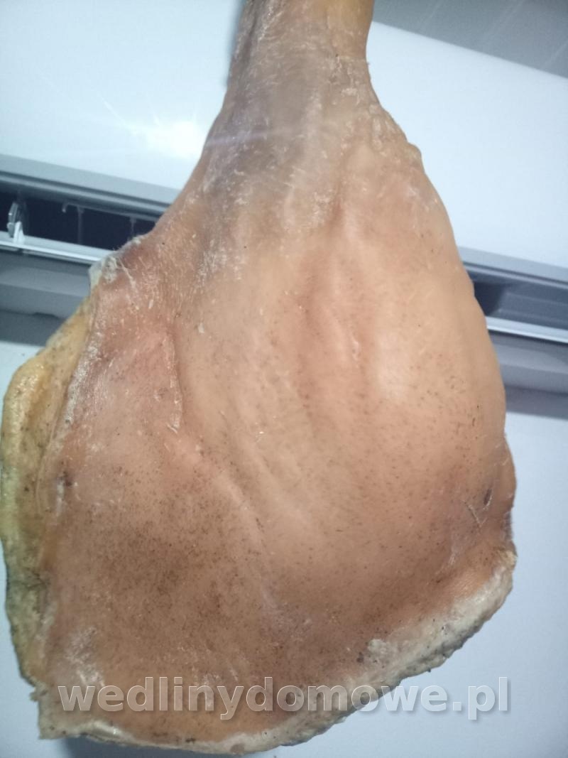 post-82235-0-28409800-1641194501_thumb.jpeg