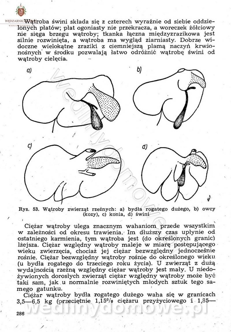 post-39694-0-67942400-1675091901_thumb.jpg
