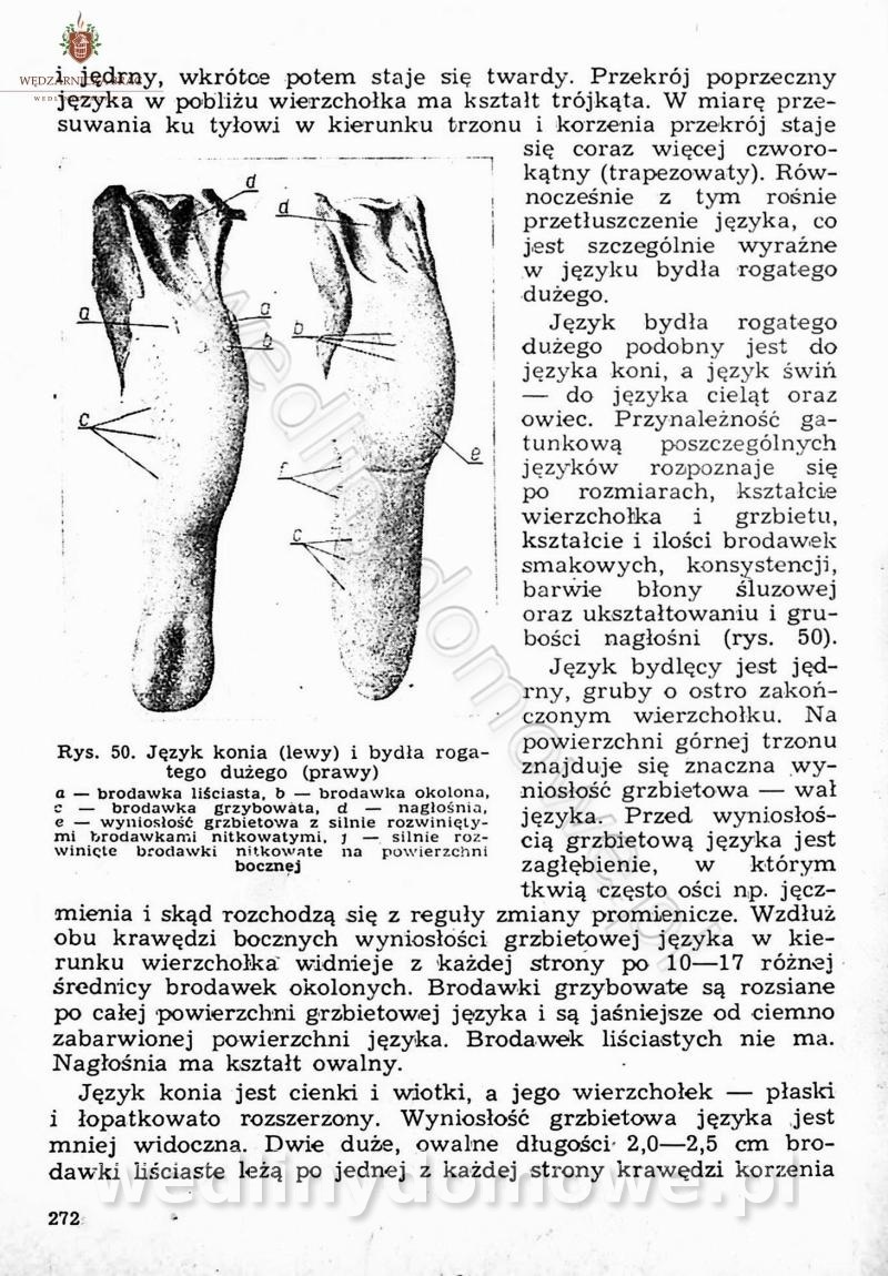 post-39694-0-81553600-1675091725_thumb.jpg