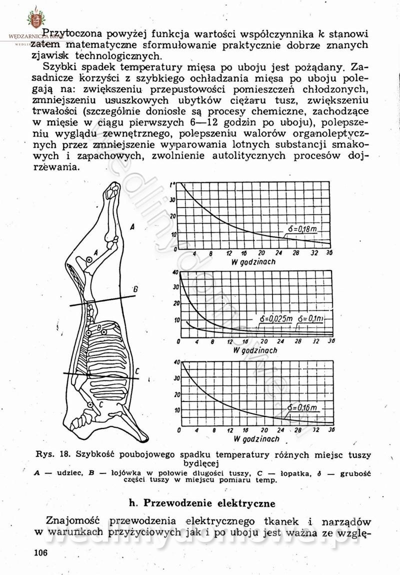post-39694-0-84495300-1675011757_thumb.jpg