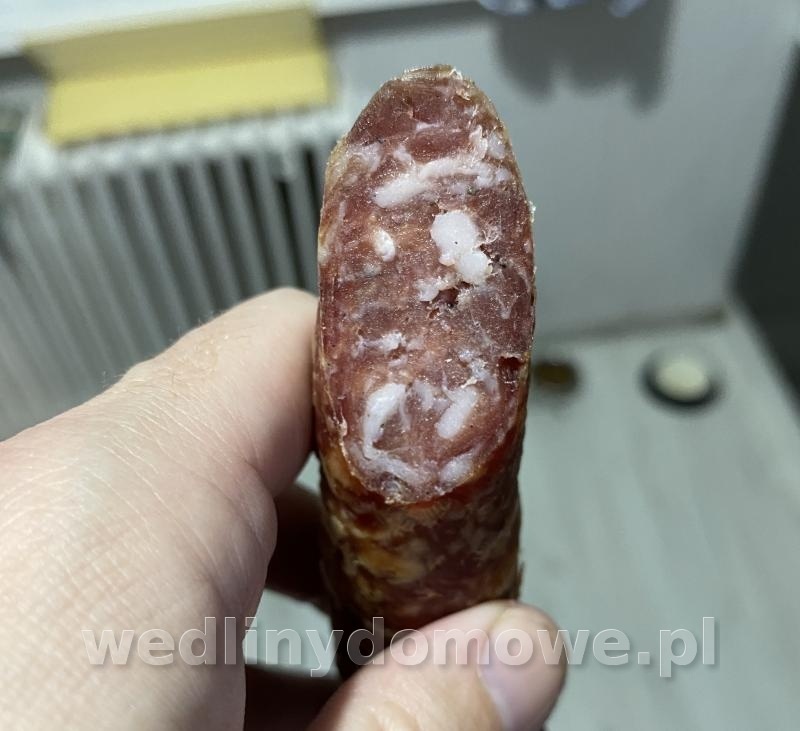 post-75873-0-01513700-1674938899_thumb.jpeg