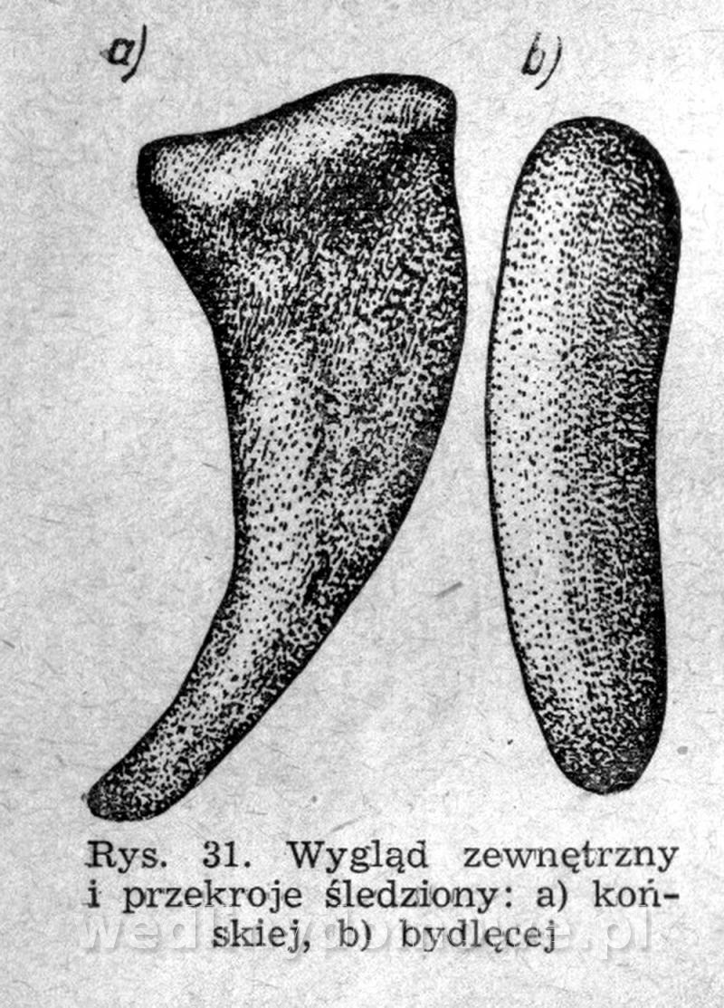 post-39694-0-02875200-1424373631_thumb.jpg