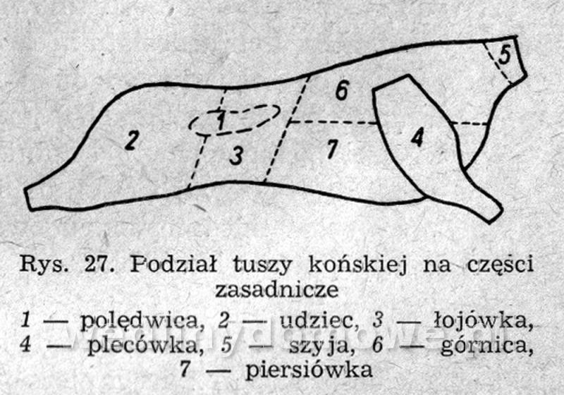 post-39694-0-29340200-1424373510_thumb.jpg