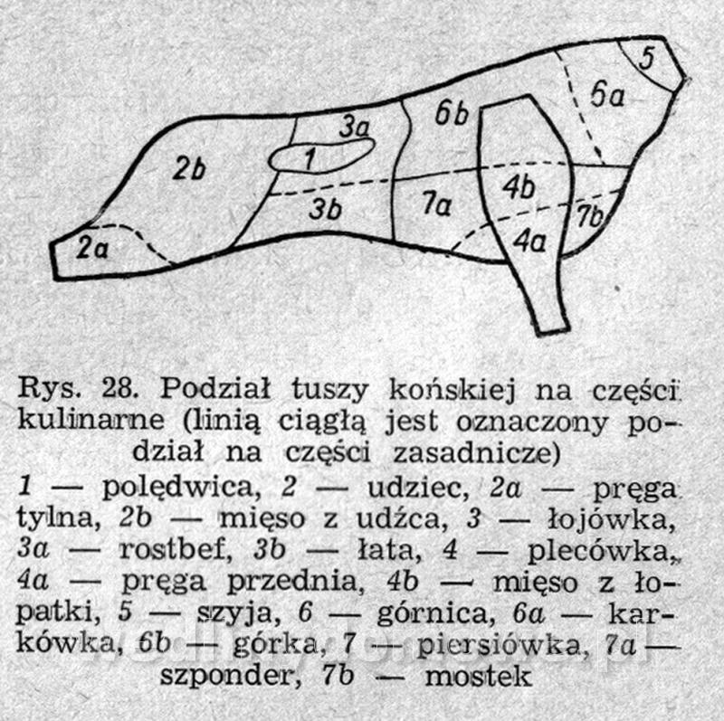 post-39694-0-82099800-1424373532_thumb.jpg