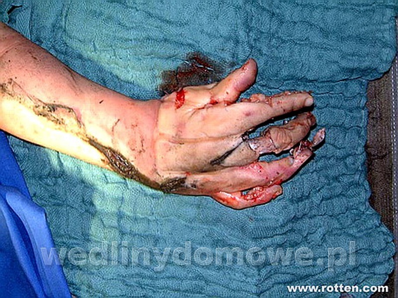 post-39694-0-93972300-1486589423_thumb.jpg
