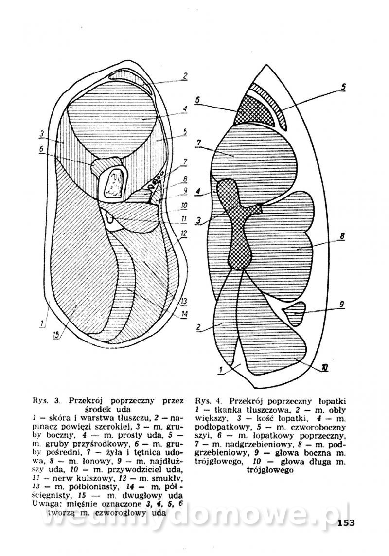 post-39869-0-54936300-1487540471_thumb.jpg