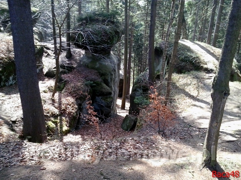 post-51638-0-54908700-1396243626_thumb.jpg