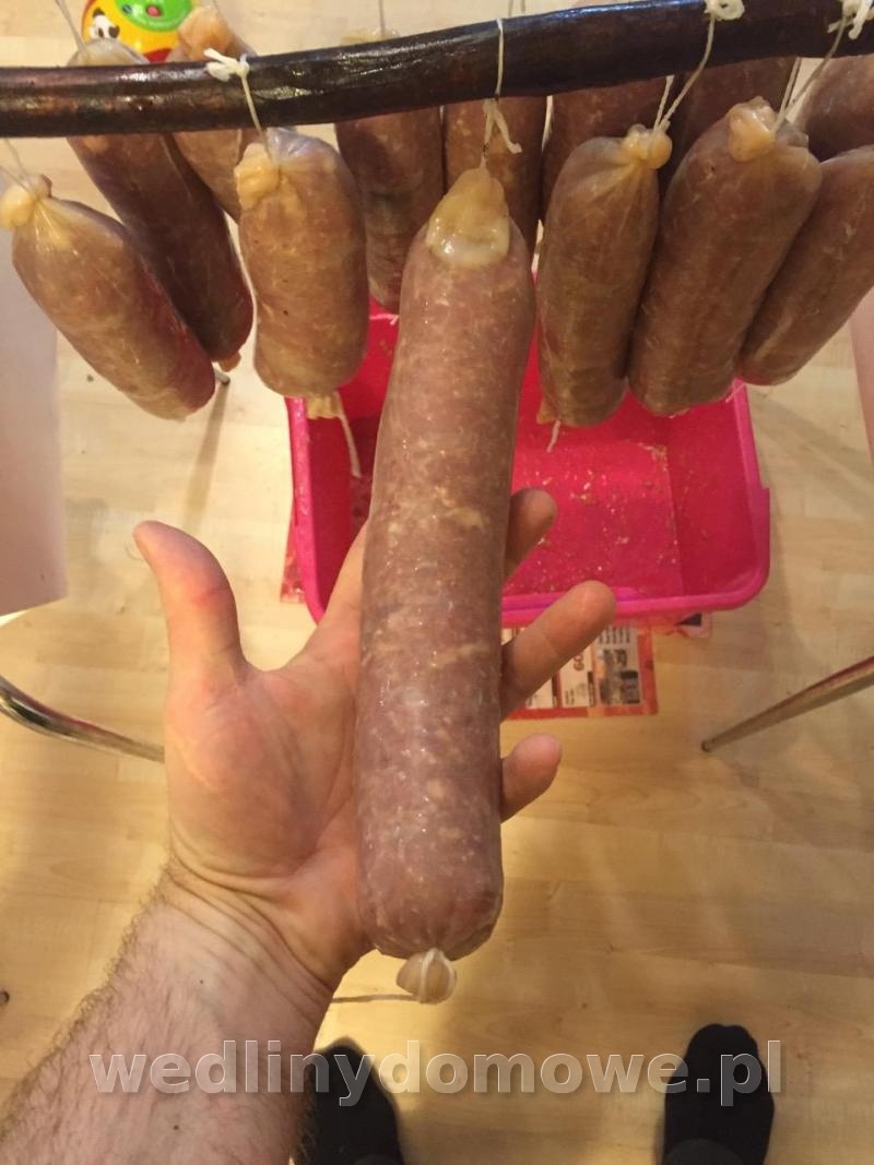 post-46819-0-93041800-1427726317_thumb.jpg