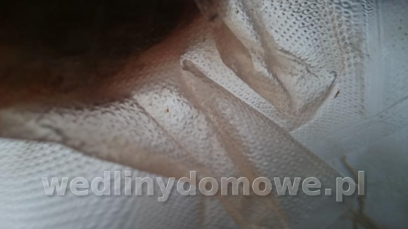 post-58481-0-16756100-1458489986_thumb.jpg
