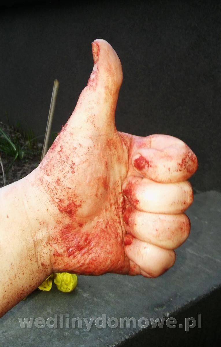 post-52552-0-29758500-1461617702_thumb.jpg