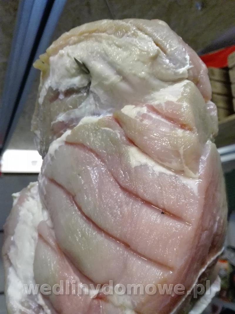 post-45760-0-58523600-1555565944_thumb.jpg