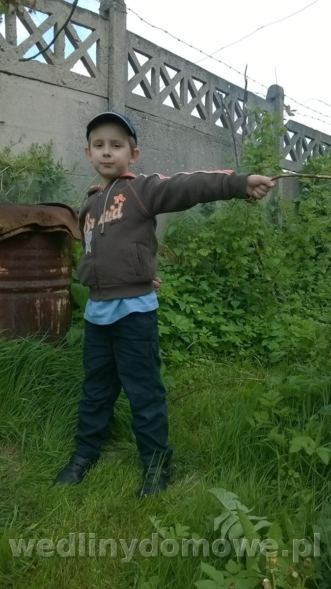 post-46422-0-18647000-1463420863_thumb.jpg