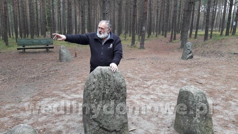 post-39847-0-05191100-1493665389_thumb.jpg