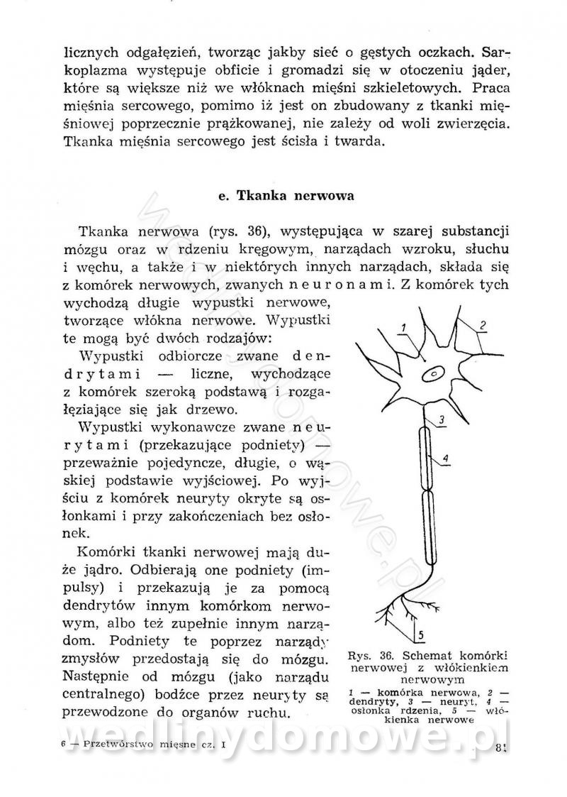 post-39694-0-80670400-1588783062_thumb.jpg