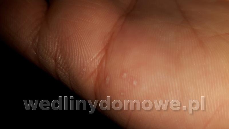 post-39950-0-79556100-1466539707_thumb.jpg