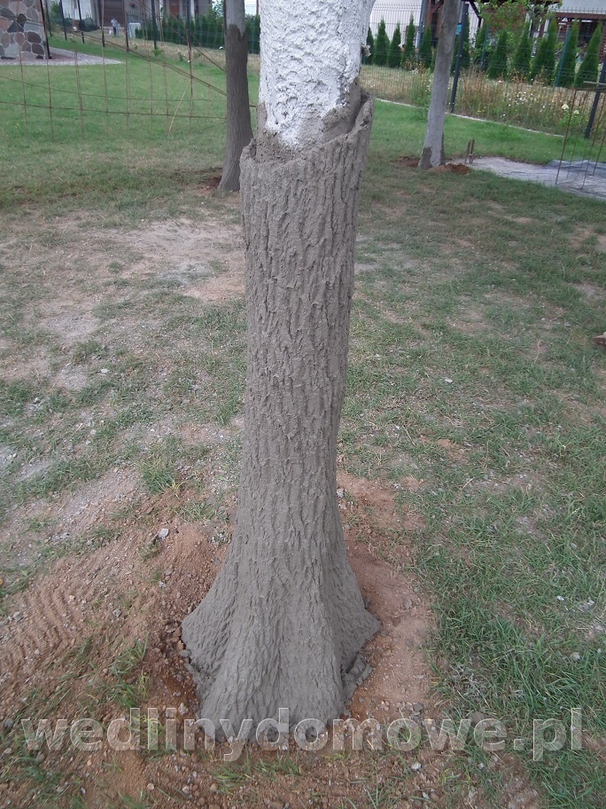 post-58531-0-25154800-1437656669_thumb.jpg
