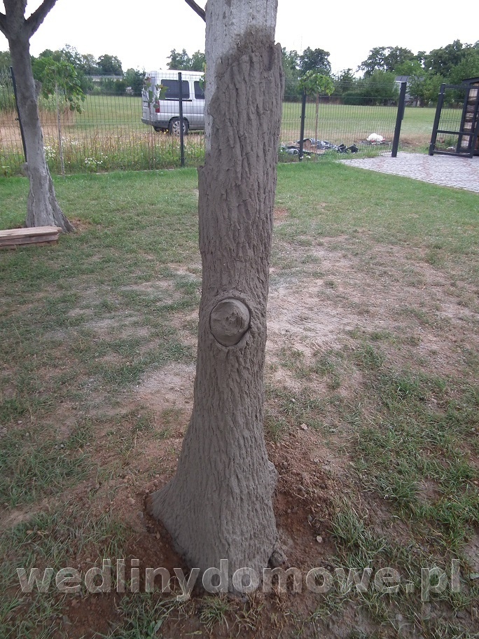 post-58531-0-93915400-1437656305_thumb.jpg