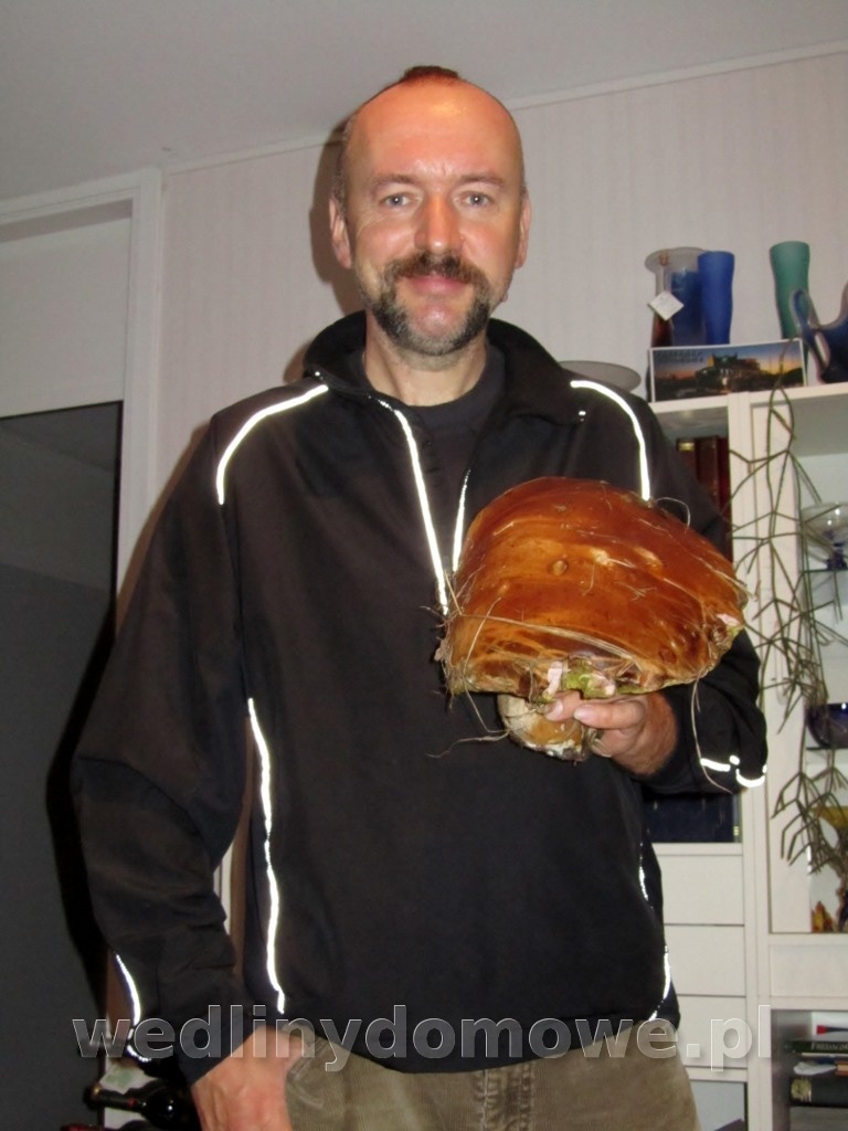 post-58387-0-83769600-1409296280_thumb.jpg