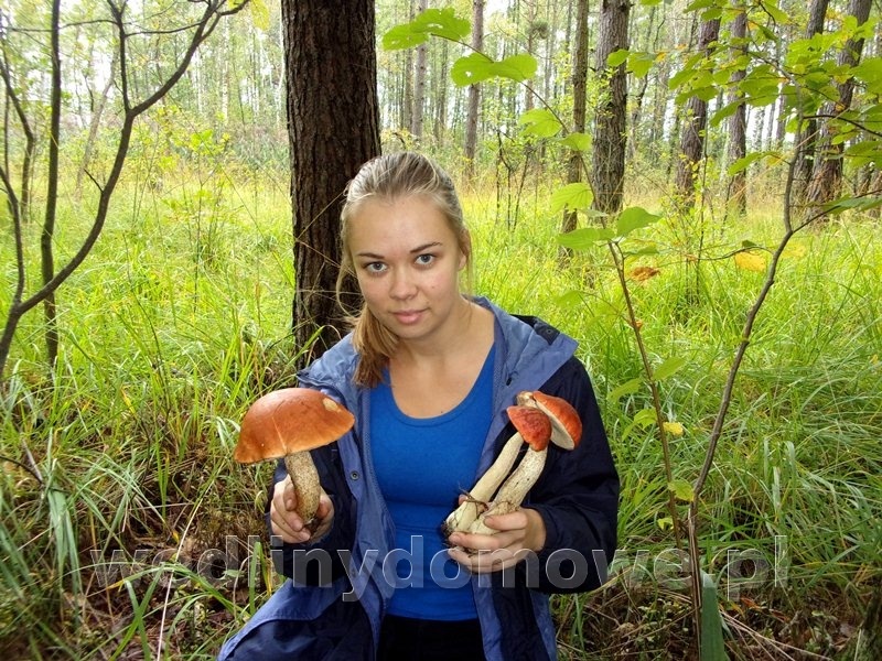 post-73631-0-46370300-1506263595_thumb.jpg