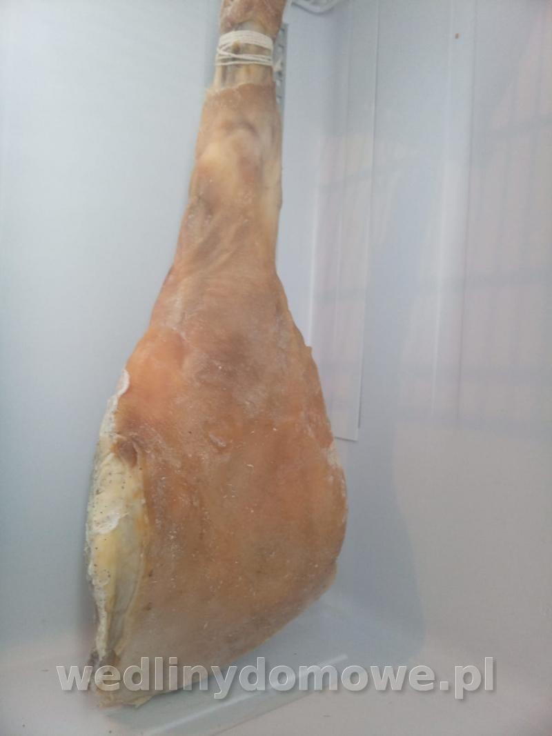 post-82235-0-87798100-1632722373_thumb.jpeg