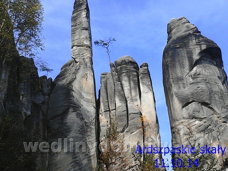post-51638-0-32477500-1413442535_thumb.jpg