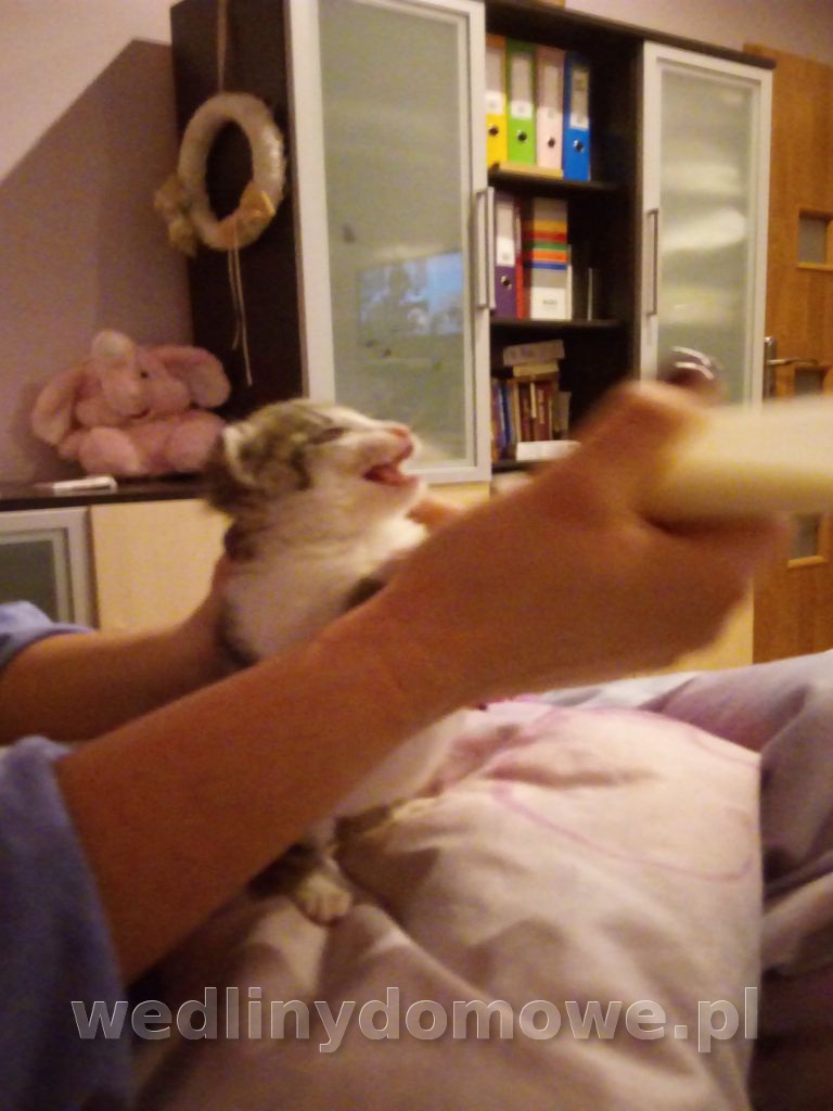 post-67266-0-62040900-1572349372_thumb.jpg