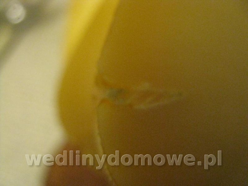 post-45680-0-35798300-1448146049_thumb.jpg
