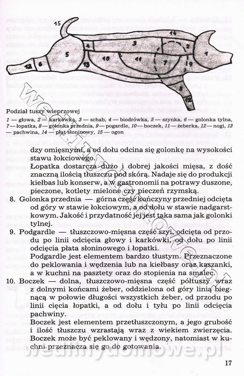 post-39694-0-20234900-1543349777_thumb.jpg