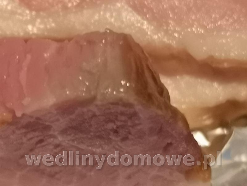post-82011-0-34558800-1574502894_thumb.jpg