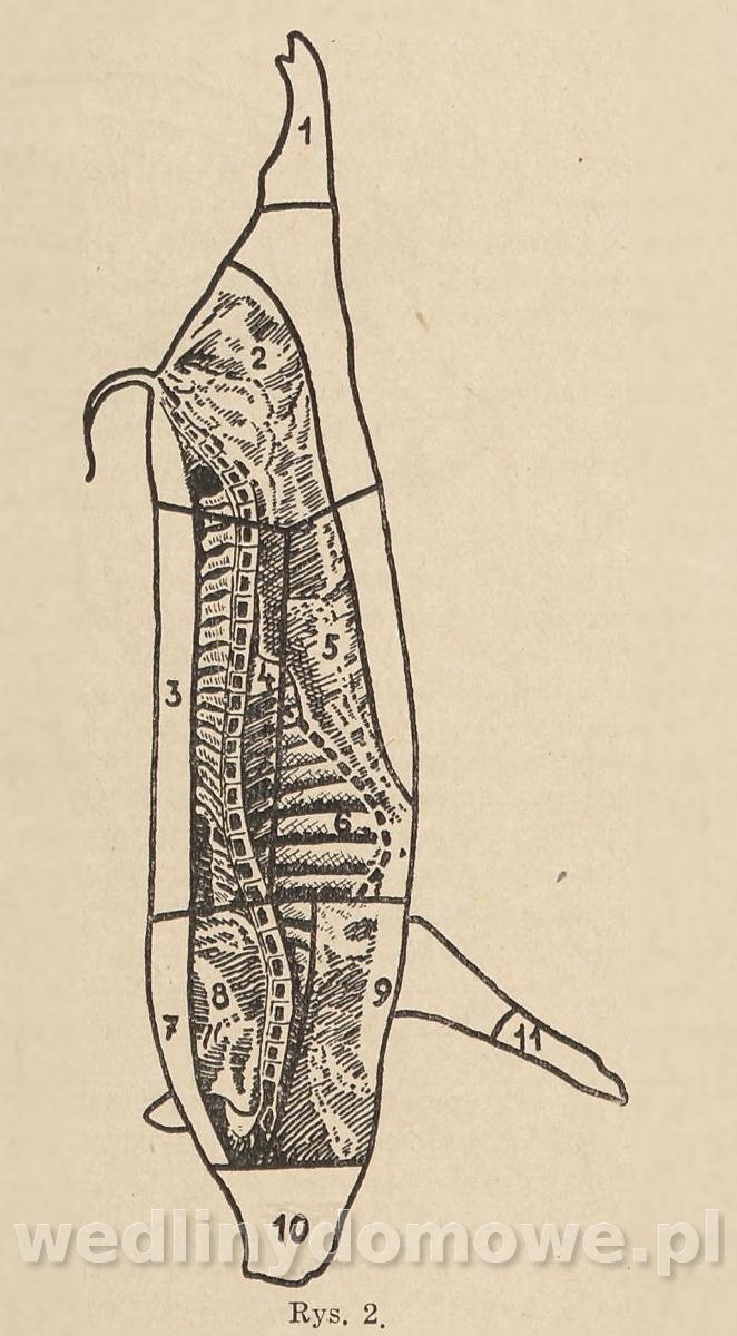 post-39694-0-86652700-1637336026_thumb.jpg