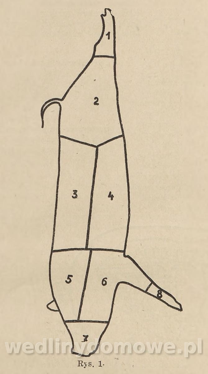 post-39694-0-93843700-1637336016_thumb.jpg