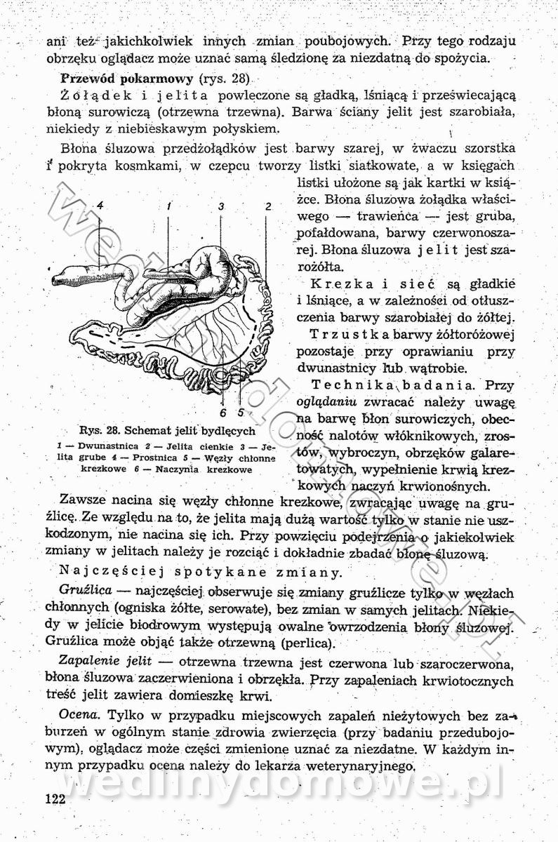post-39694-0-89589000-1544364560_thumb.jpg