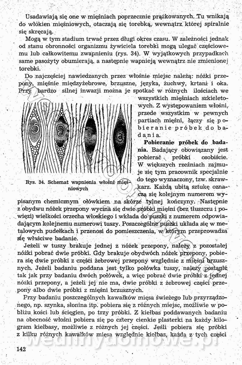 post-39694-0-91121400-1544364740_thumb.jpg