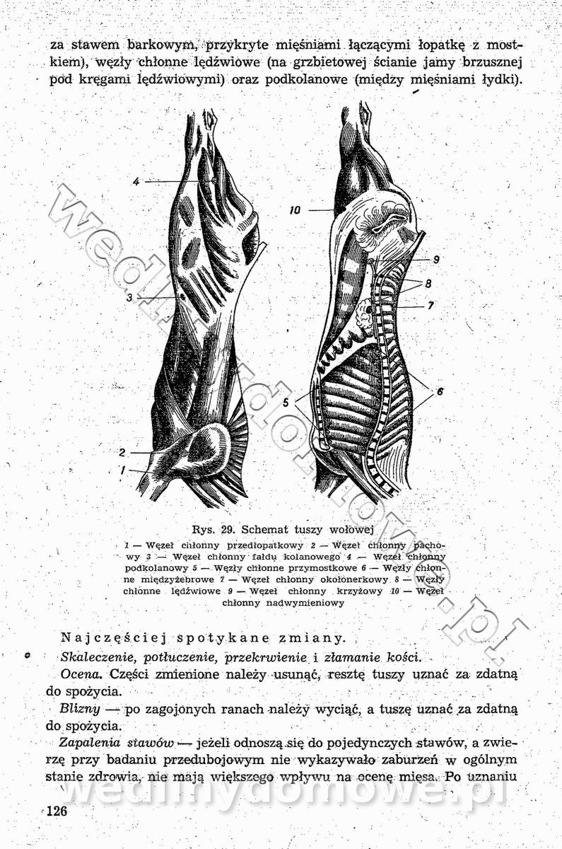 post-39694-0-94125500-1544364596_thumb.jpg