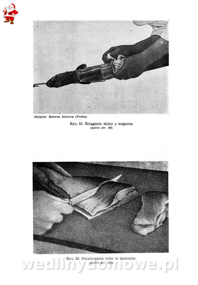 post-39694-0-52186900-1576778073_thumb.jpg