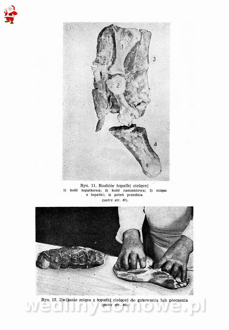post-39694-0-67925700-1576690798_thumb.jpg