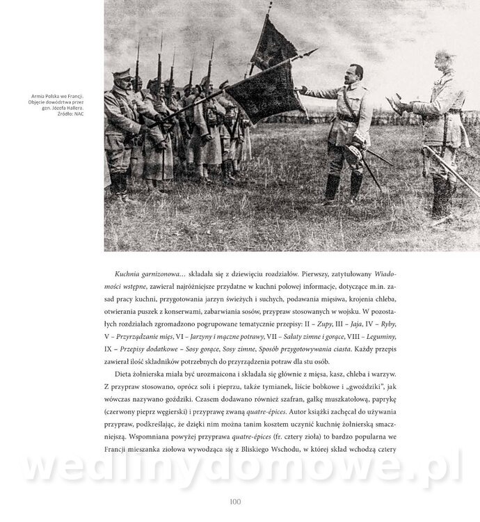 Kotly_i_menazki-102.jpg