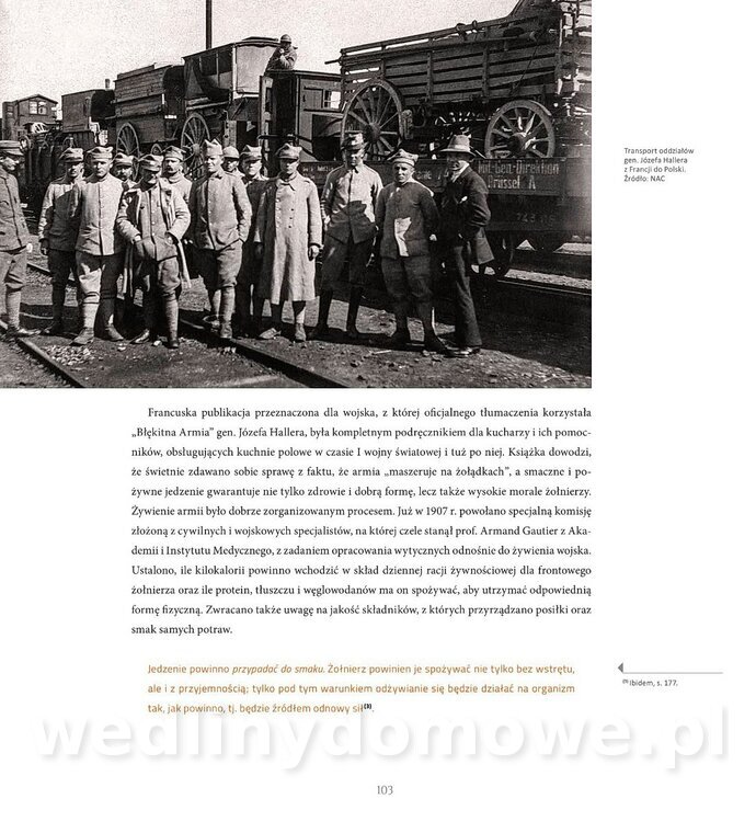 Kotly_i_menazki-105.jpg
