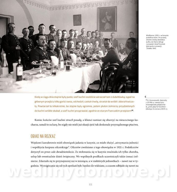 Kotly_i_menazki-113.jpg