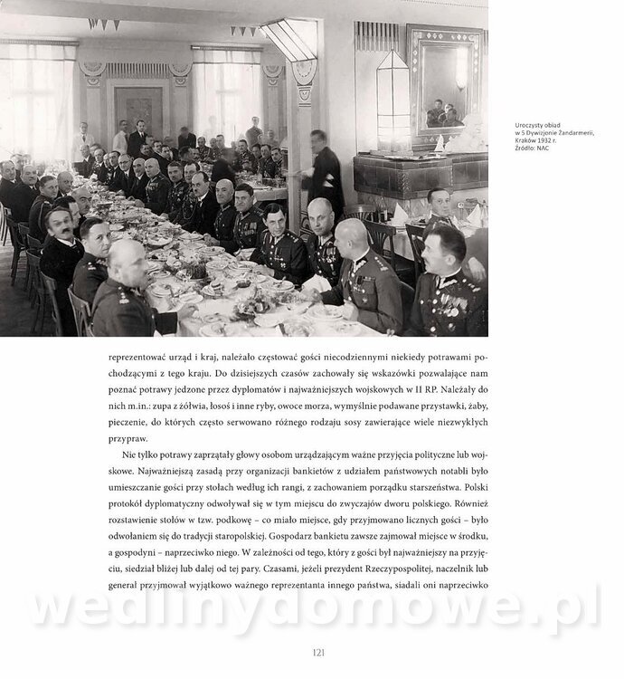 Kotly_i_menazki-123.jpg