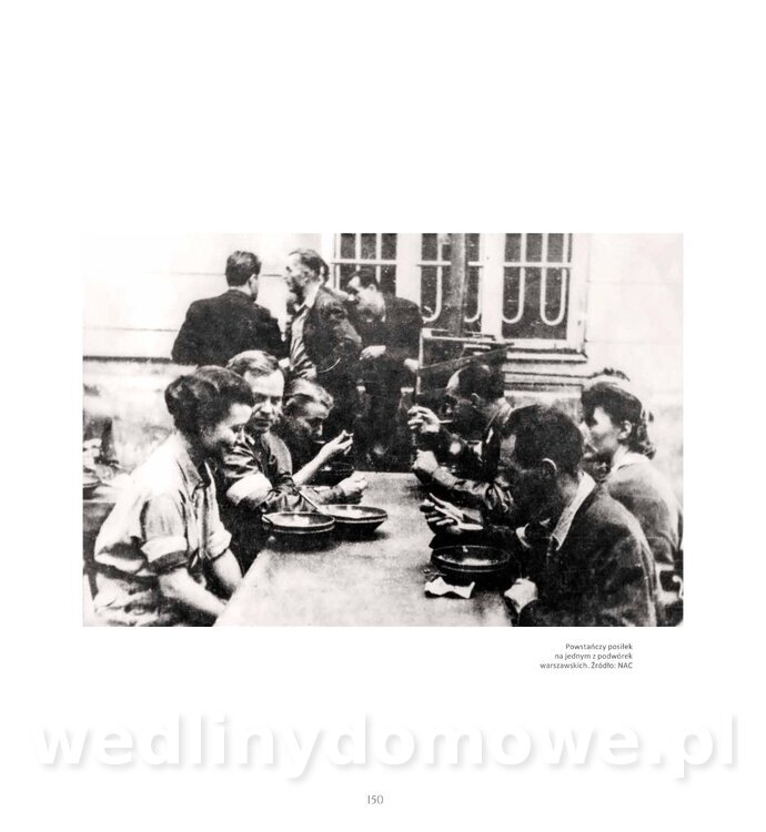 Kotly_i_menazki-152.jpg