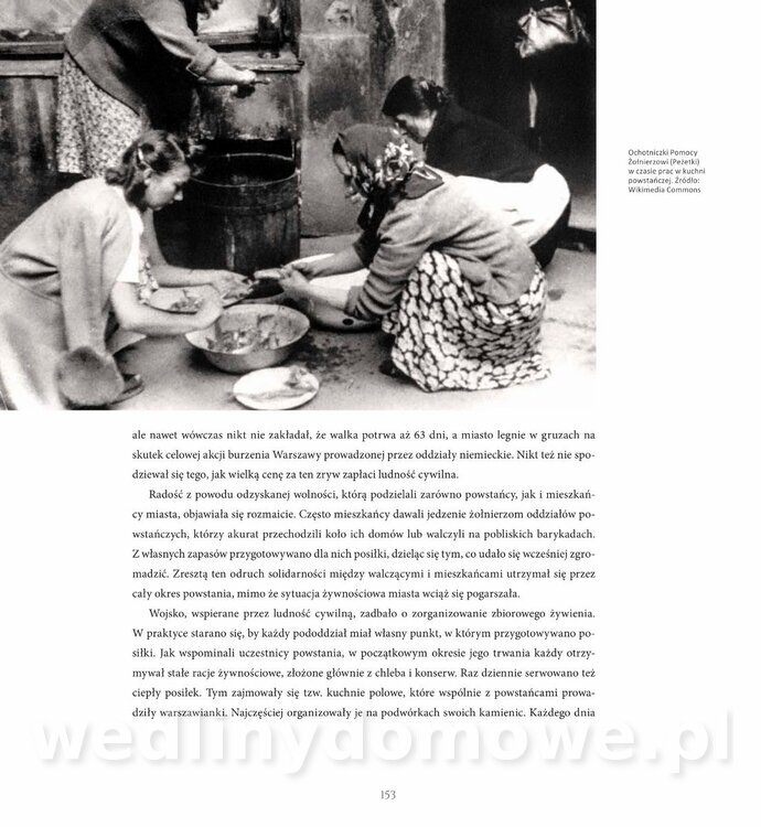Kotly_i_menazki-155.jpg