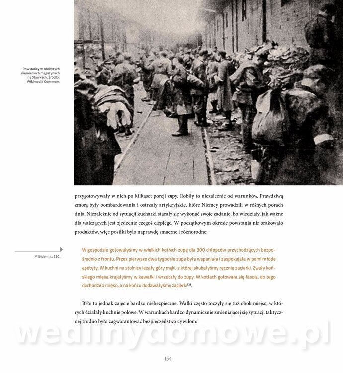 Kotly_i_menazki-156.jpg